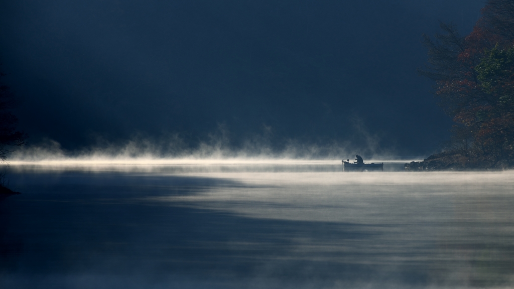 Lonely angler