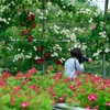 花とカメラ女子