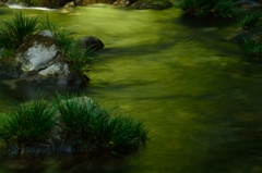 緑水の流れ