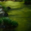 緑水の流れ