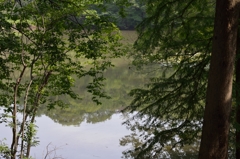 D60_0110