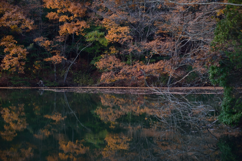 初冬の水辺２