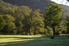 公園の朝