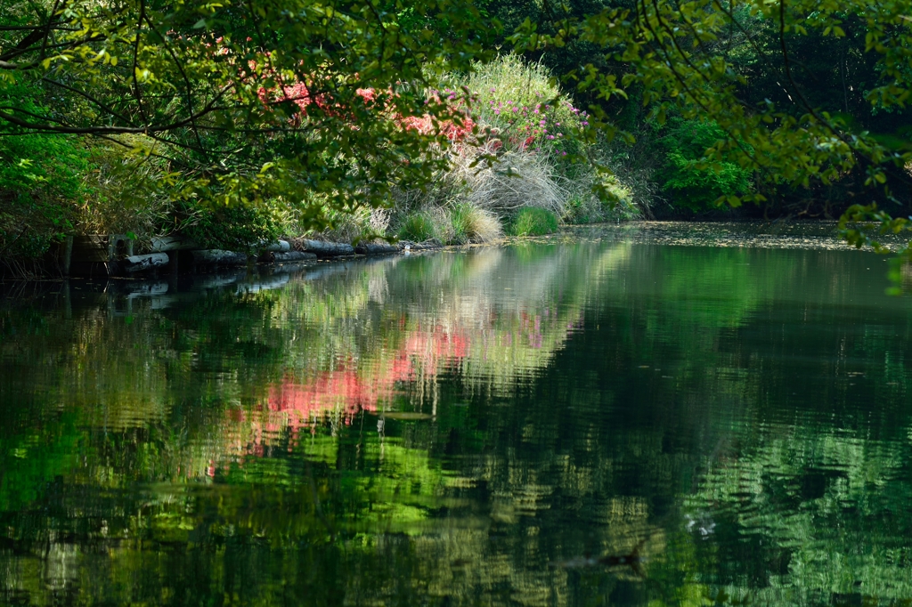 Green Pond