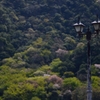 街灯のある風景