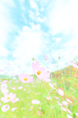 秋、通る。
