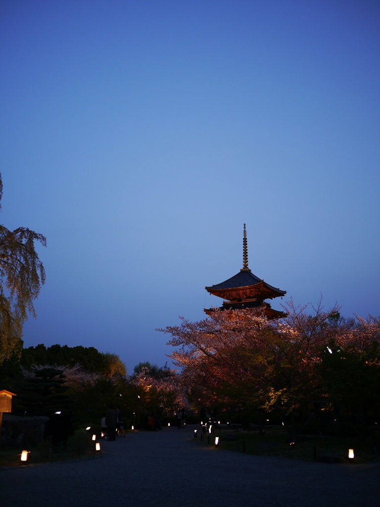 桜を抜けると...