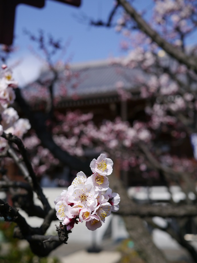 開山堂両大師