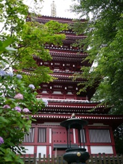 本土寺　五重塔