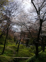 吉野山