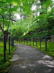 山道のみどり