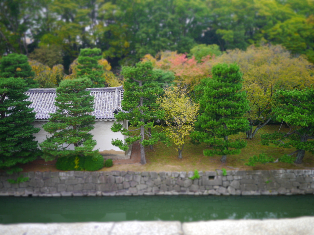 二条城庭園