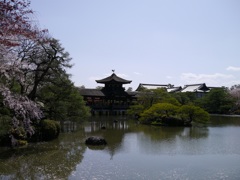 栖鳳池から見る風景