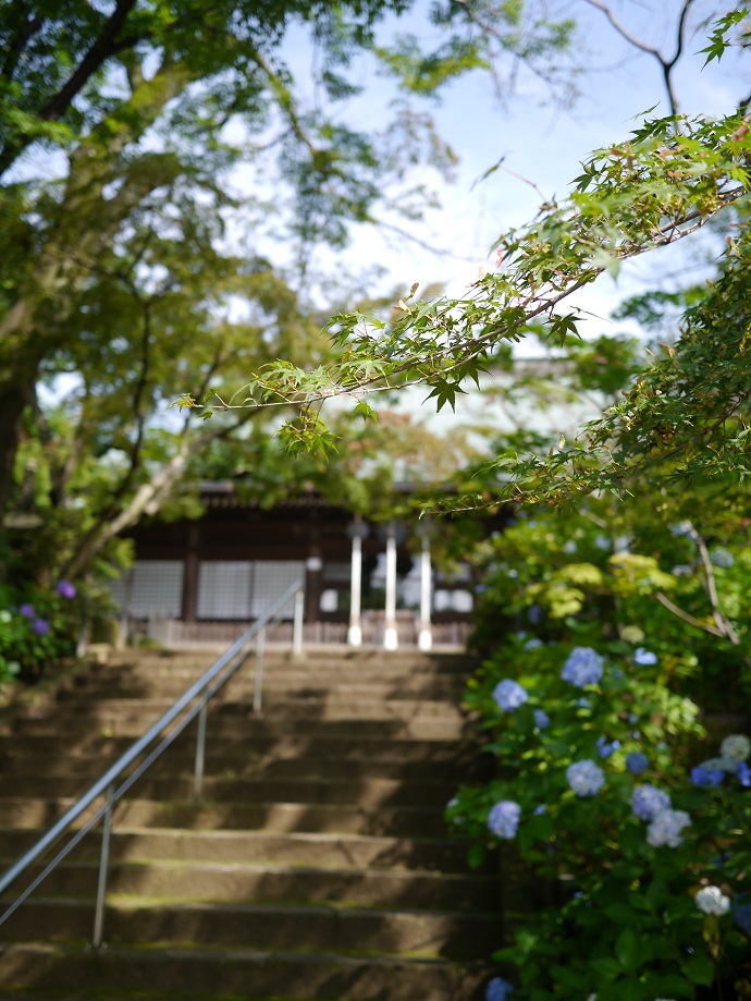 本土寺　本堂