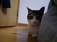 見てます!!!