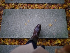 黄色紅葉へ一歩