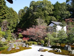 紫雲の庭