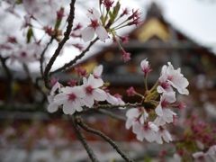 宸殿のまえの...