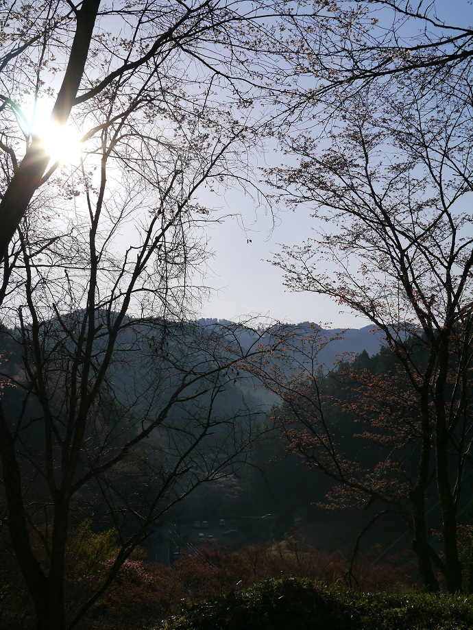 吉野山