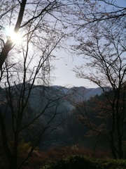 吉野山