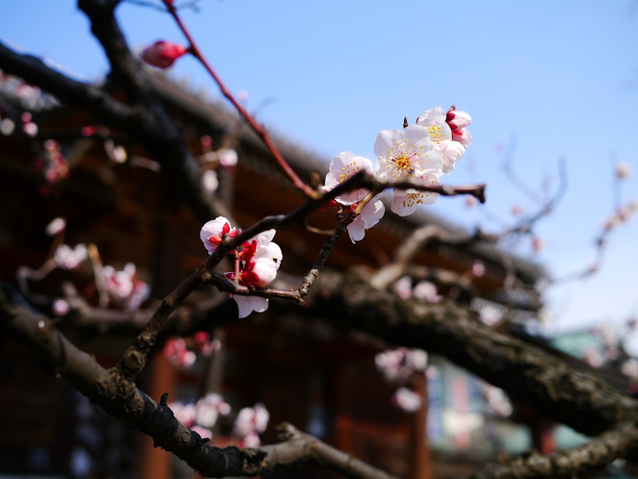 開山堂両大師