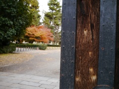 蛤御門の銃痕