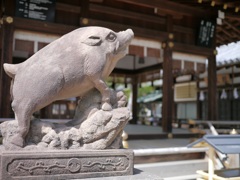 狛猪さまの見つめる先には...