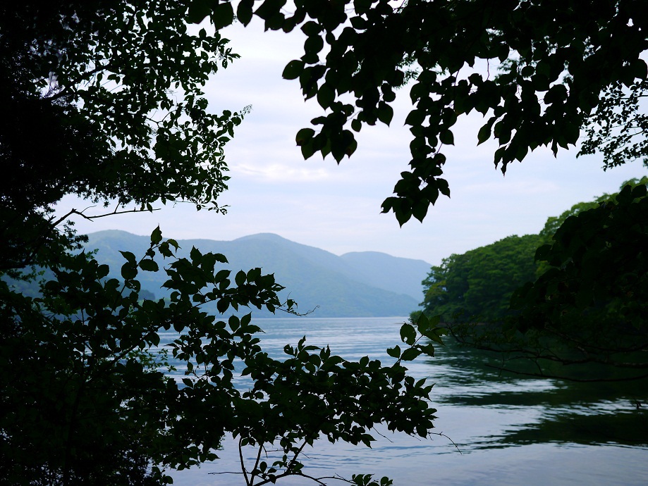 先に見えるは...