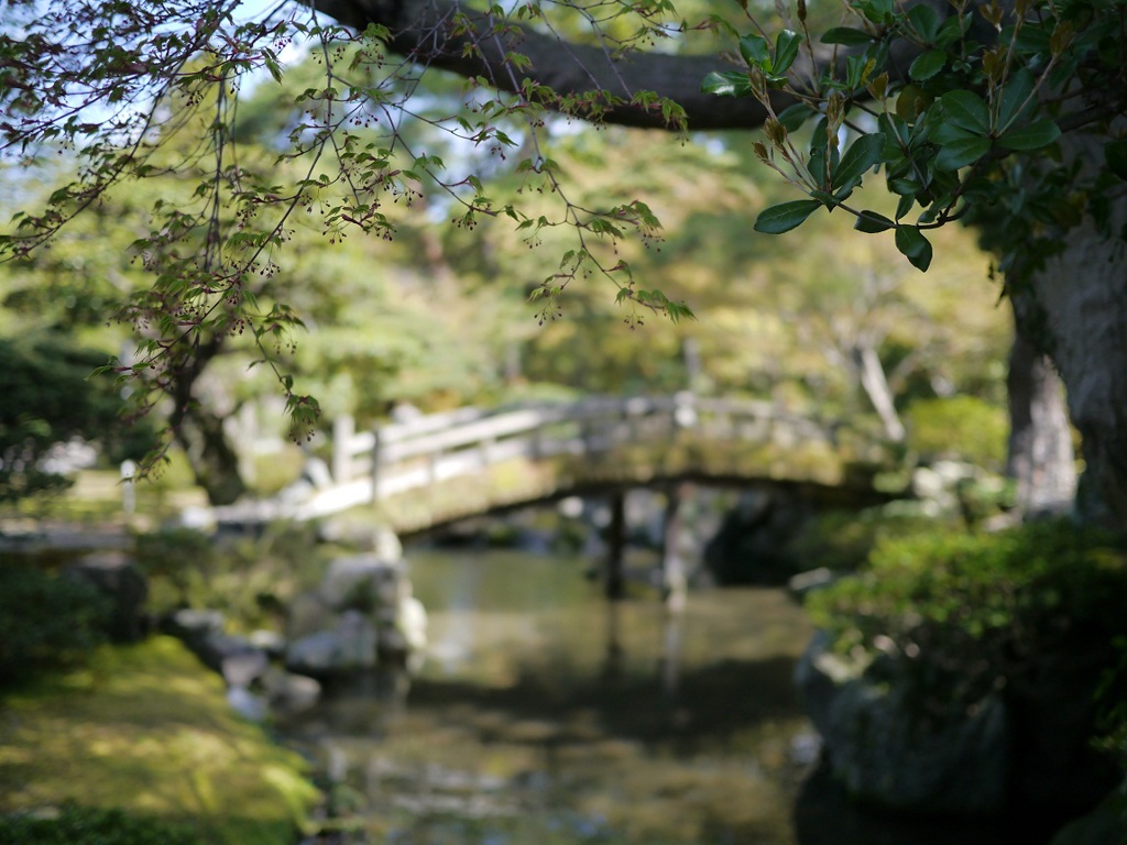御池庭にかかる橋