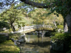 御池庭にかかる橋