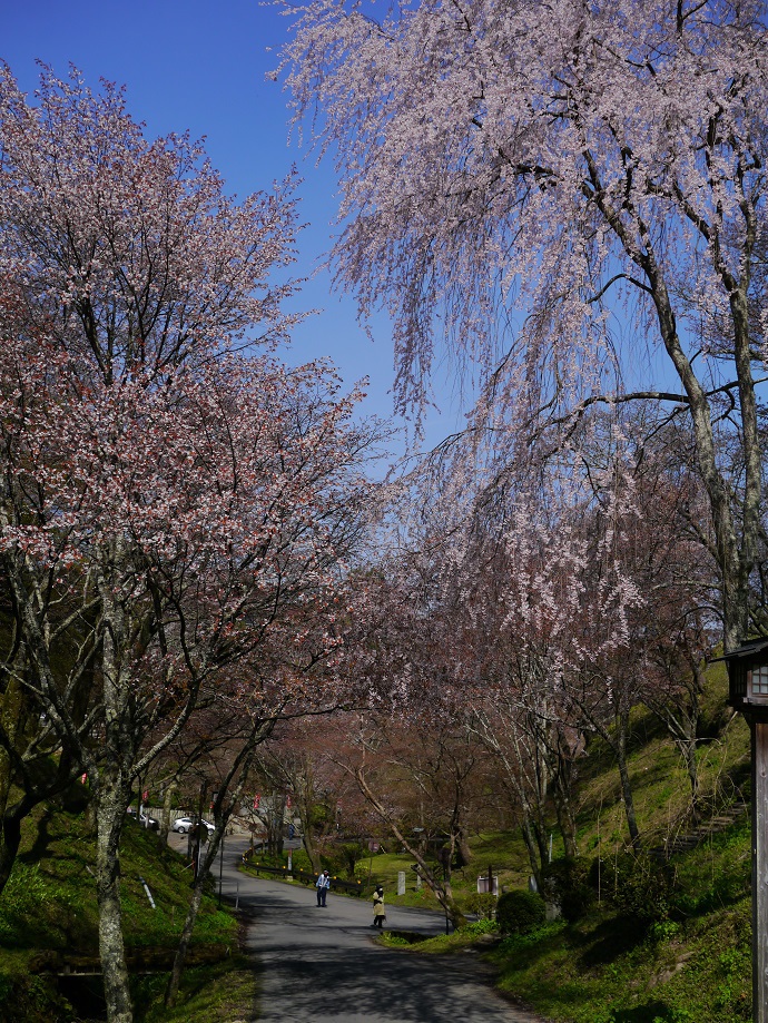 吉野山