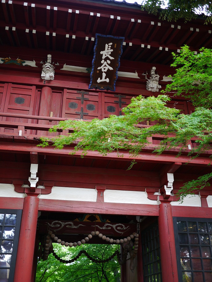 長谷山　本土寺山門