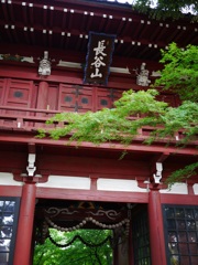 長谷山　本土寺山門