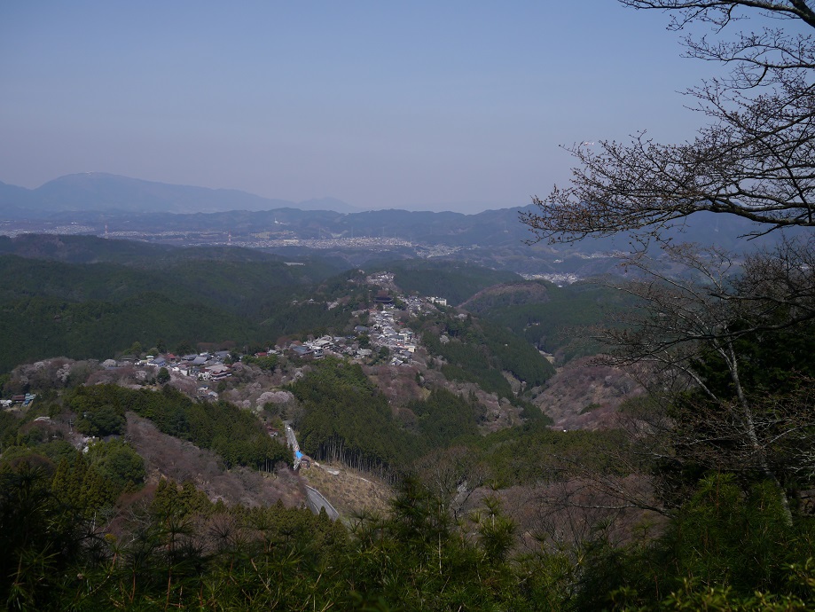 花矢倉展望台