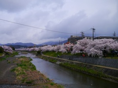 どこまでも続く...