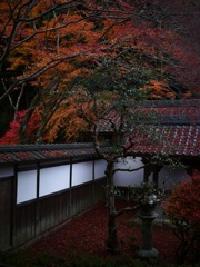 渡り廊下からの紅葉
