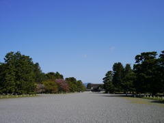 どこまでも青い空