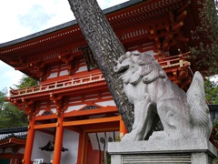 今宮神社の狛犬さま