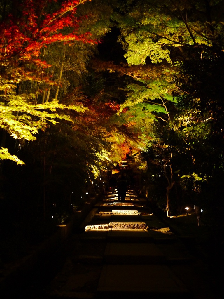 台所坂