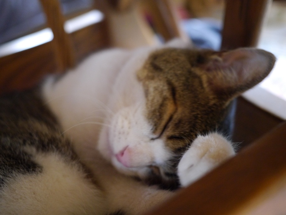 Zzz...