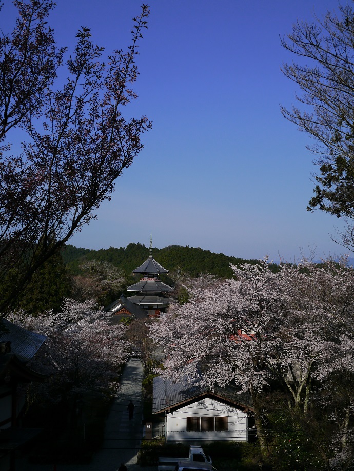 金峯山寺　南朝妙法殿