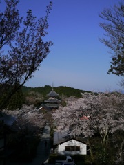 金峯山寺　南朝妙法殿