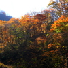 晩秋の仙人峠：大仙沢