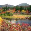 八甲田の紅葉（睡蓮沼）