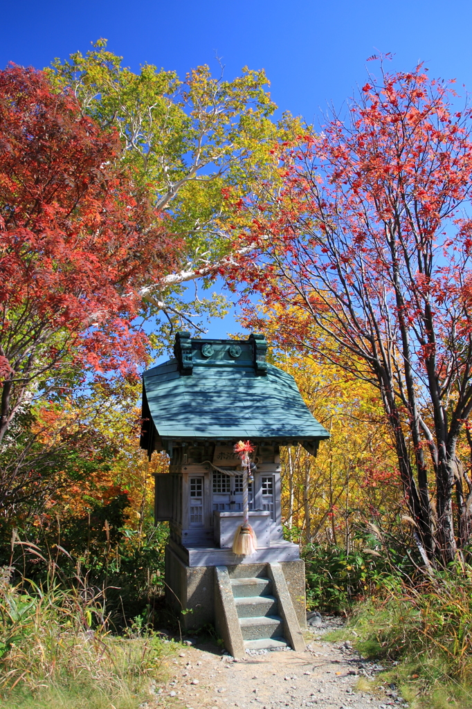 八幡平の紅葉：御在所