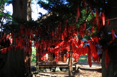 遠野・卯子酉神社