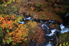 晩秋の仙人峠：中ノ沢