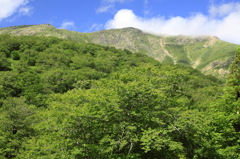 夏の早池峰