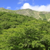 夏の早池峰