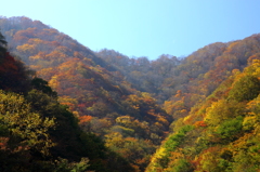 仙人峠の紅葉